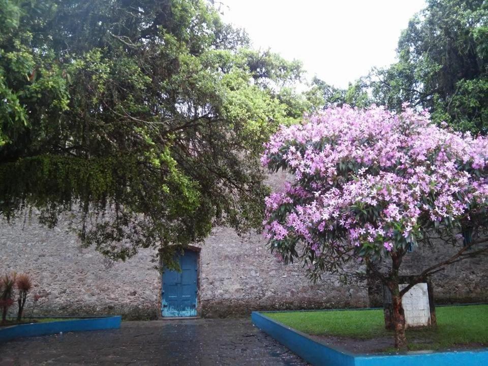 Hotel Pousada Ramos Na Areia à Itanhaém Extérieur photo